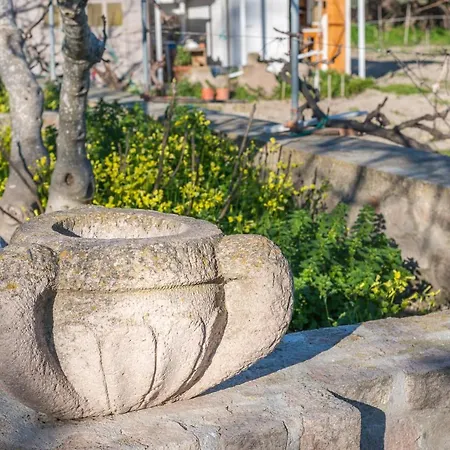 Lina And Babis' Cycladic - *