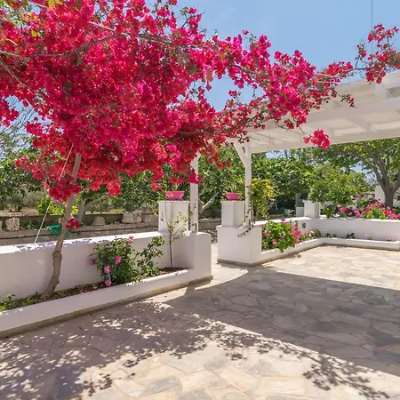 Lina And Babis' Cycladic Home - Adamas *