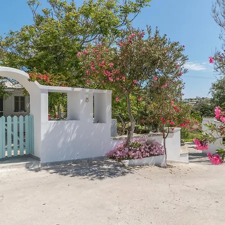 Lina And Babis' Lejlighed